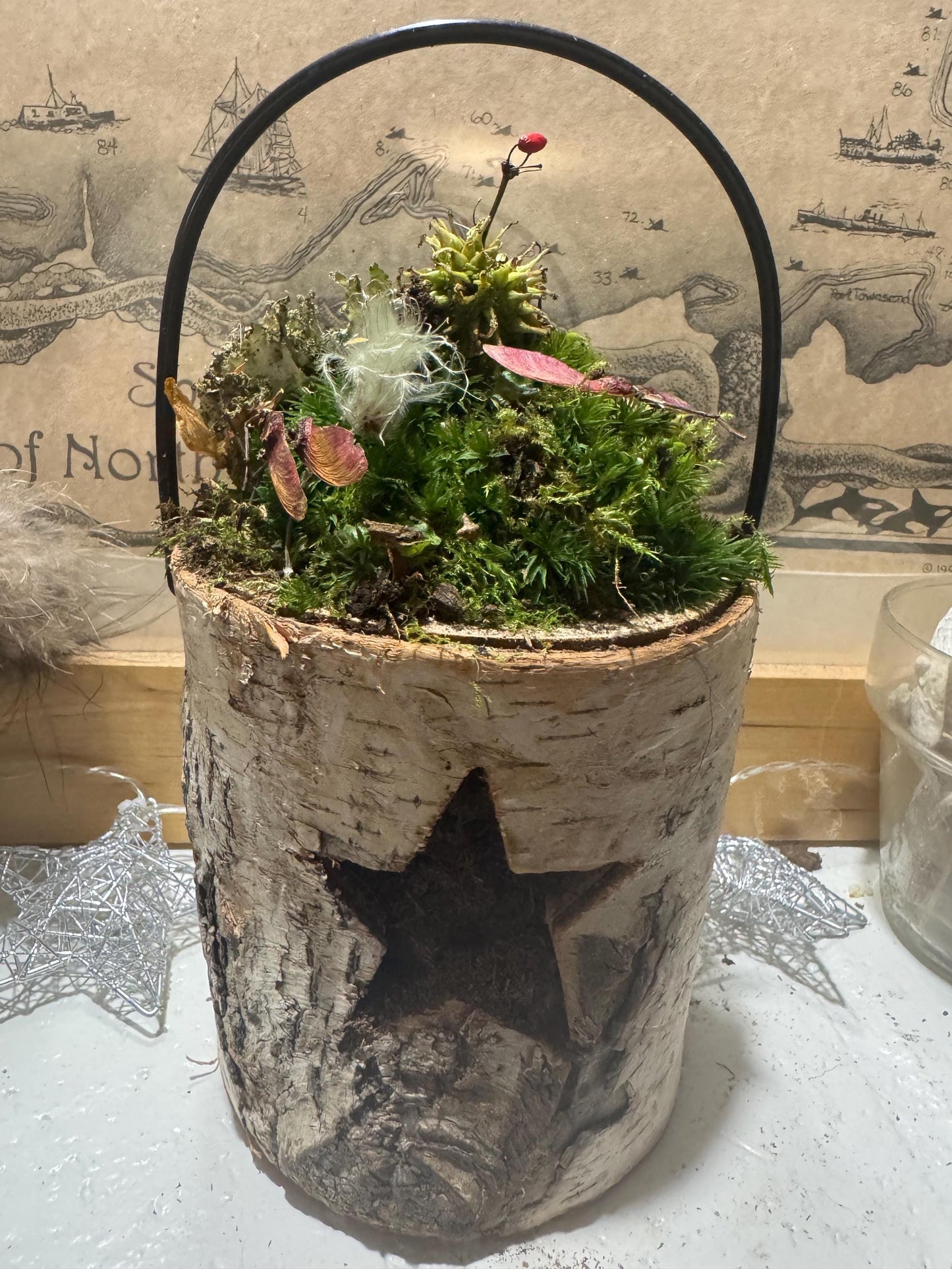 Birchstar Bloom – Moss Garden in Carved Birch Star Vessel | Woodland Winter Terrarium | One-of-a-Kind Nature Art by Moss Mom Gardens