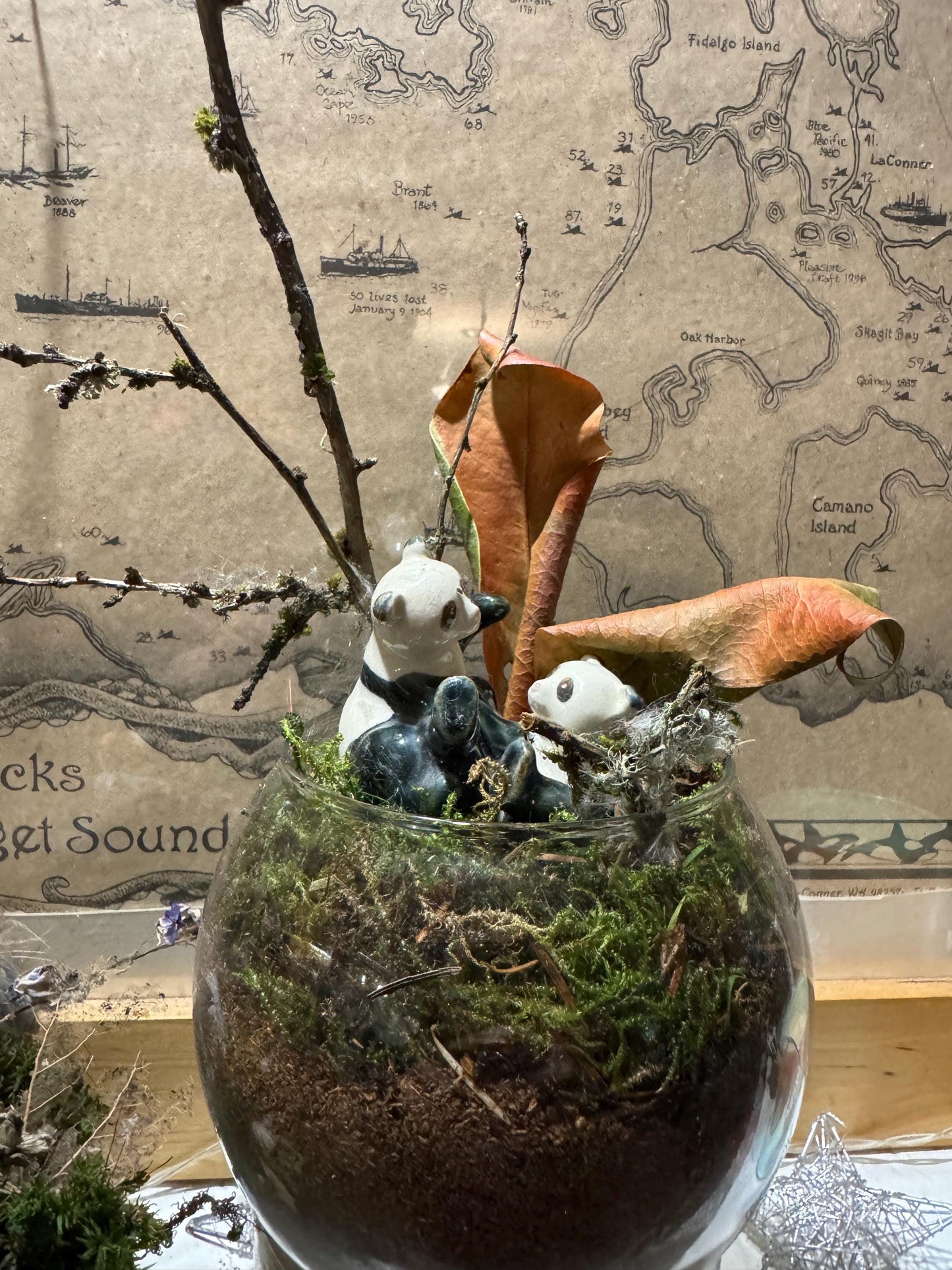 Panda-monium — Panda Family Moss Garden (Handmade Terrarium • Foraged Moss • Whimsical Woodland Decor)