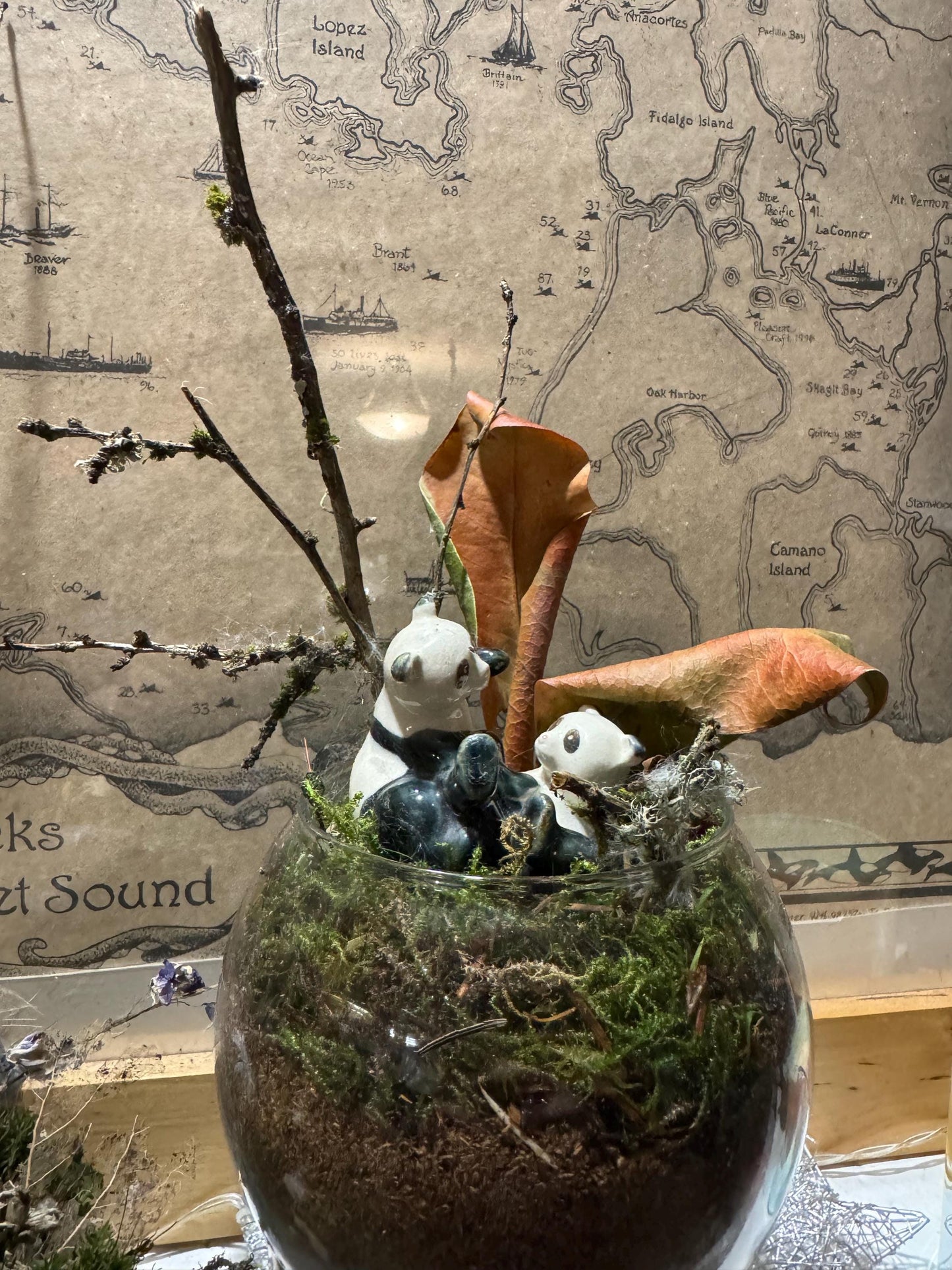 Panda-monium — Panda Family Moss Garden (Handmade Terrarium • Foraged Moss • Whimsical Woodland Decor)