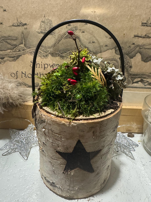 Birchstar Bloom – Moss Garden in Carved Birch Star Vessel | Woodland Winter Terrarium | One-of-a-Kind Nature Art by Moss Mom Gardens