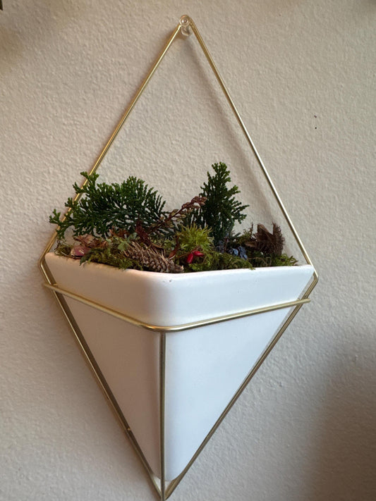 Corner Pocket – Pet-Friendly Hanging Live Woodland Moss Garden