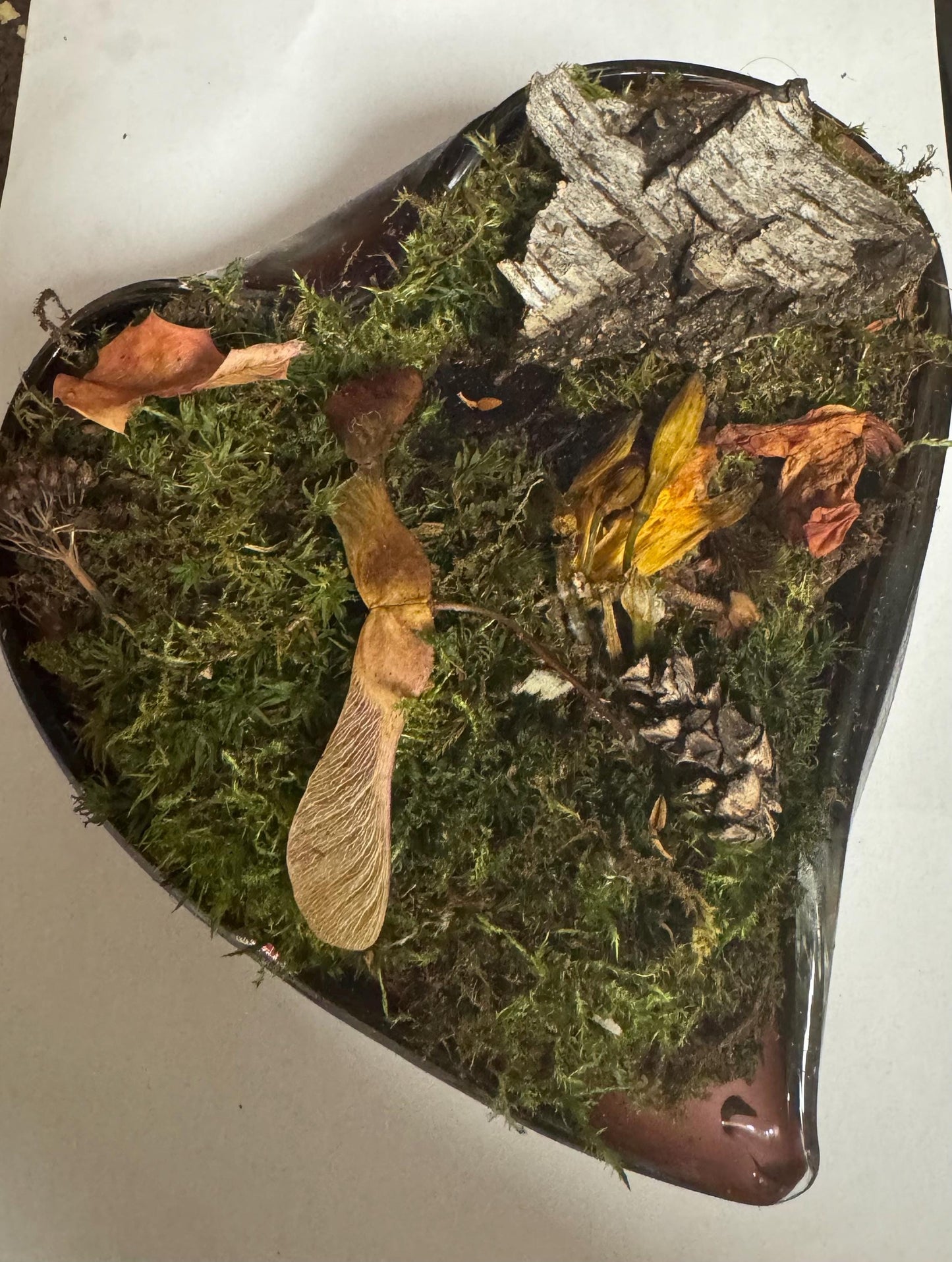 Heart of the Glade – Moss Garden in Heart-Shaped Vessel | Woodland Terrarium Art | One-of-a-Kind Moss Mom Gardens Piece
