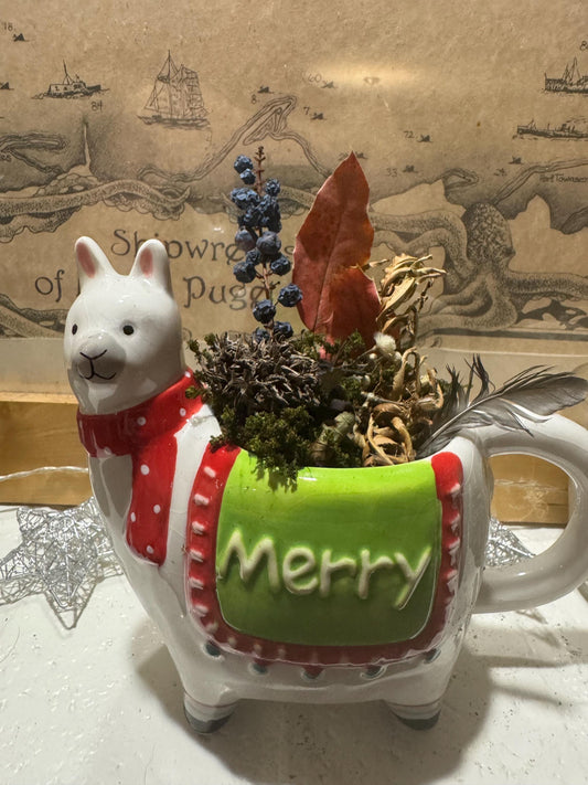 A Merry Little Blessing – Holiday Llama Moss Garden | Woodland Winter Terrarium | One-of-a-Kind Moss Mom Gardens Creation
