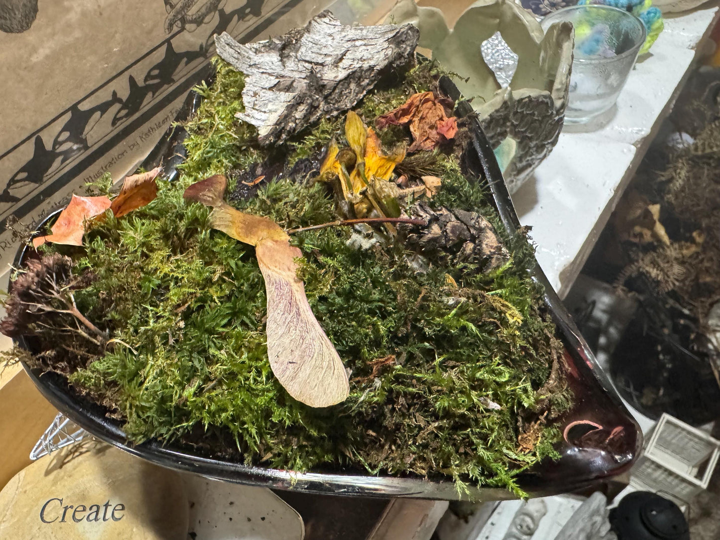 Heart of the Glade – Moss Garden in Heart-Shaped Vessel | Woodland Terrarium Art | One-of-a-Kind Moss Mom Gardens Piece