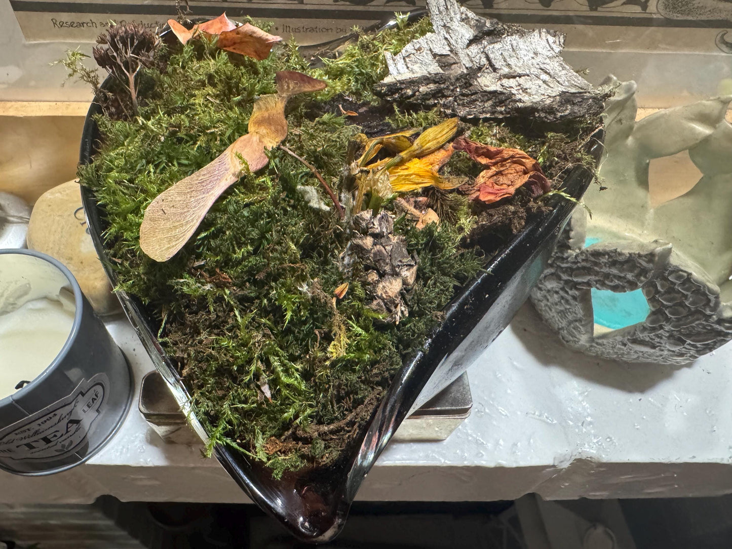 Heart of the Glade – Moss Garden in Heart-Shaped Vessel | Woodland Terrarium Art | One-of-a-Kind Moss Mom Gardens Piece