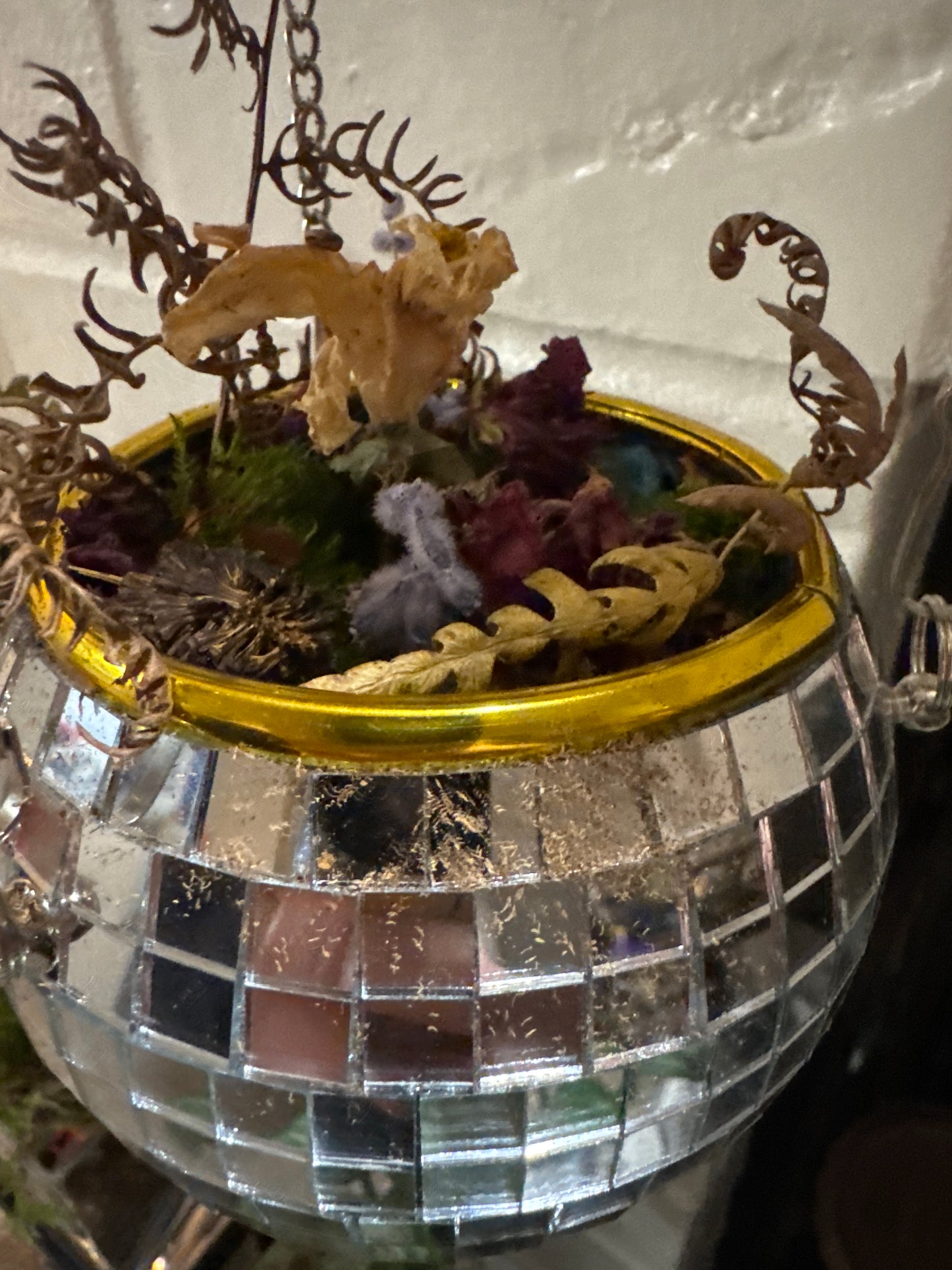 Disco Ball Moss Garden