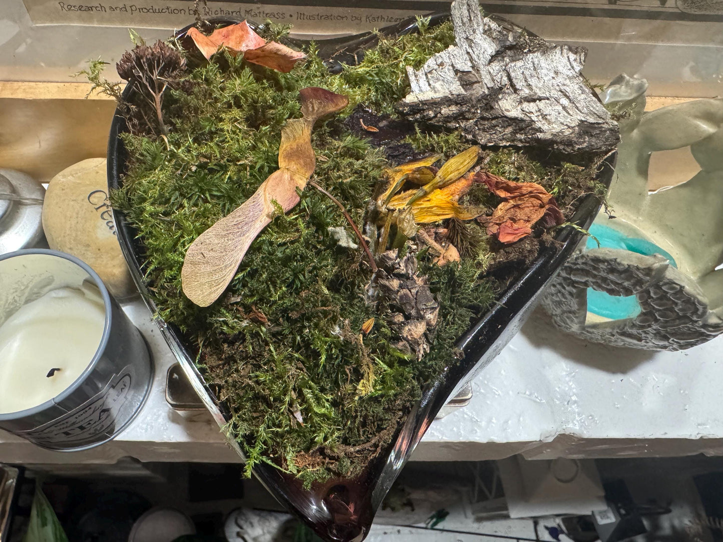 Heart of the Glade – Moss Garden in Heart-Shaped Vessel | Woodland Terrarium Art | One-of-a-Kind Moss Mom Gardens Piece
