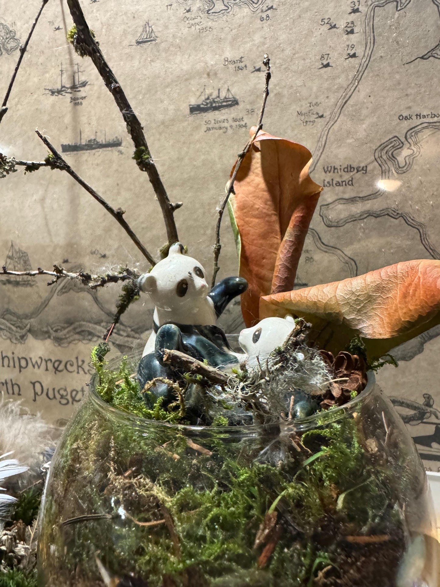 Panda-monium — Panda Family Moss Garden (Handmade Terrarium • Foraged Moss • Whimsical Woodland Decor)