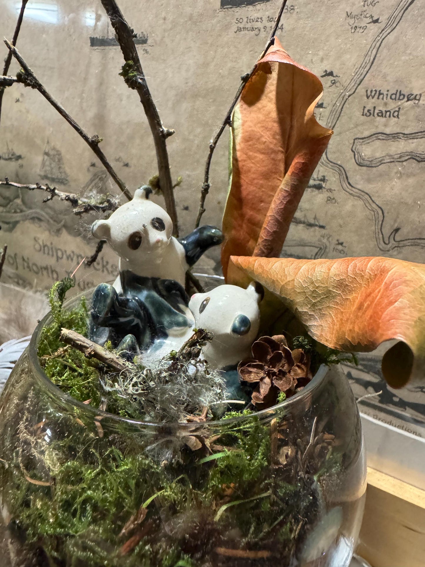 Panda-monium — Panda Family Moss Garden (Handmade Terrarium • Foraged Moss • Whimsical Woodland Decor)