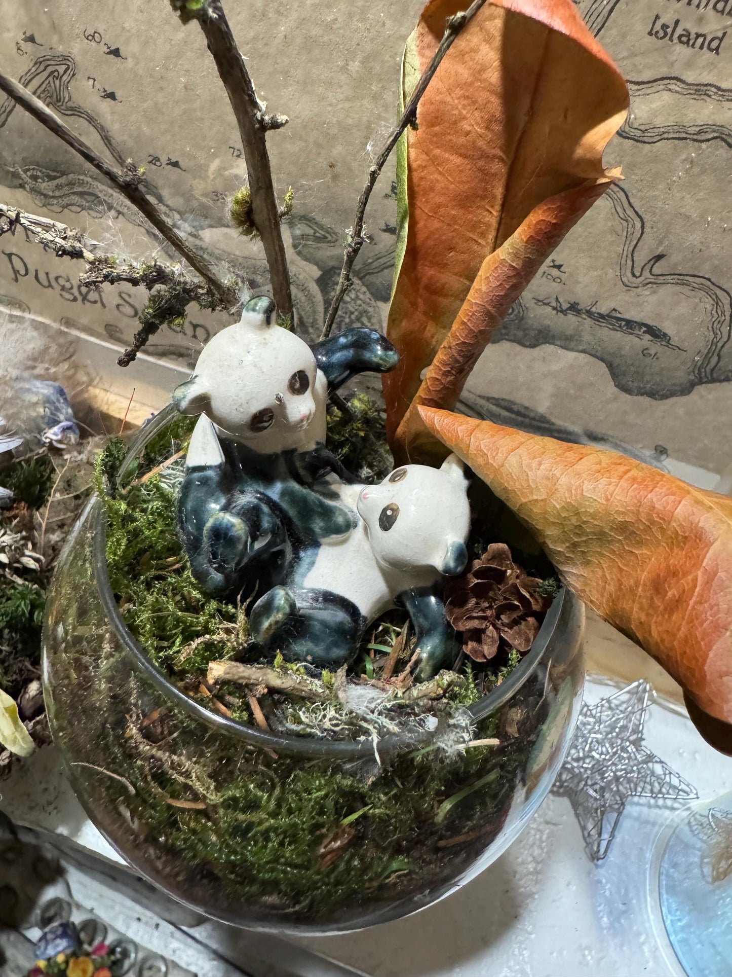 Panda-monium — Panda Family Moss Garden (Handmade Terrarium • Foraged Moss • Whimsical Woodland Decor)